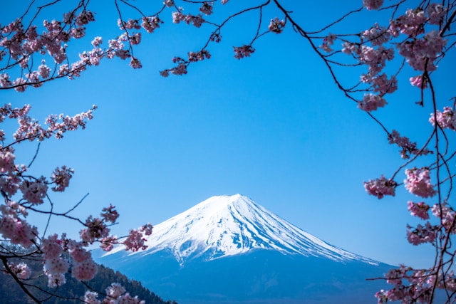 Tokyo, Japan